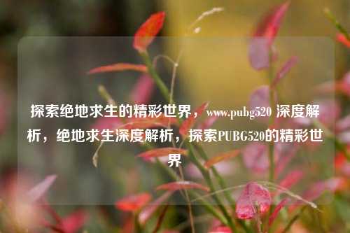 探索绝地求生的精彩世界,www.pubg520 深度解析,绝地求生深度解析,探索PUBG520的精彩世界