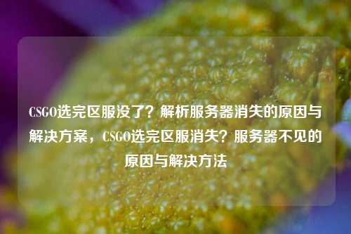 CSGO选完区服没了?解析服务器消失的原因与解决方案,CSGO选完区服消失?服务器不见的原因与解决方法
