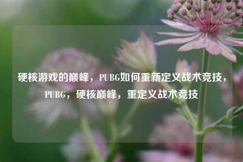 硬核游戏的巅峰,PUBG如何重新定义战术竞技,PUBG,硬核巅峰,重定义战术竞技