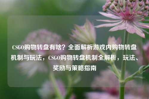 CSGO购物转盘有啥?全面解析游戏内购物转盘机制与玩法,CSGO购物转盘机制全解析,玩法、奖励与策略指南