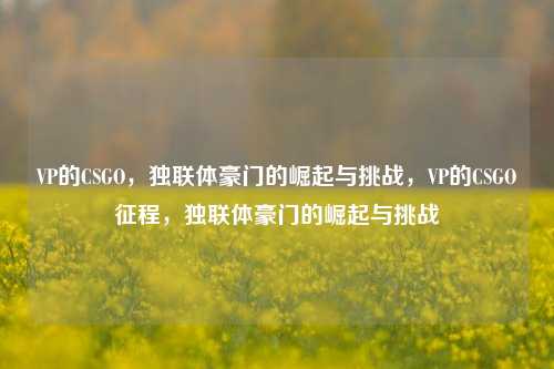 VP的CSGO,独联体豪门的崛起与挑战,VP的CSGO征程,独联体豪门的崛起与挑战