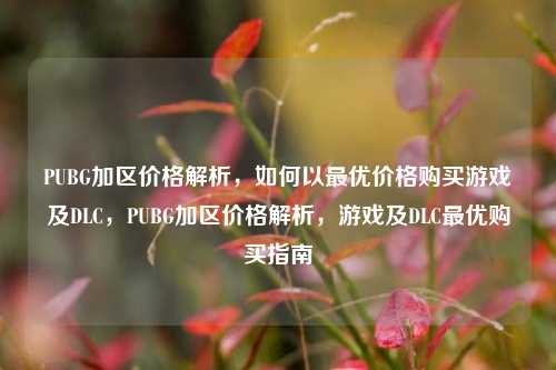 PUBG加区价格解析,如何以最优价格购买游戏及DLC,PUBG加区价格解析,游戏及DLC最优购买指南