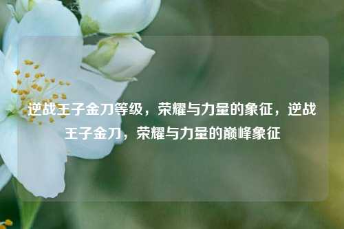 逆战王子金刀等级,荣耀与力量的象征,逆战王子金刀,荣耀与力量的巅峰象征