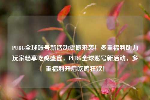 PUBG全球账号新活动震撼来袭!多重福利助力玩家畅享吃鸡盛宴,PUBG全球账号新活动,多重福利开启吃鸡狂欢!