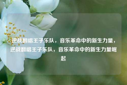 逆战翻唱王子乐队,音乐革命中的新生力量,逆战翻唱王子乐队,音乐革命中的新生力量崛起