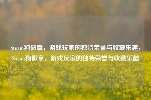 Steam狗徽章,游戏玩家的独特荣誉与收藏乐趣,Steam狗徽章,游戏玩家的独特荣誉与收藏乐趣