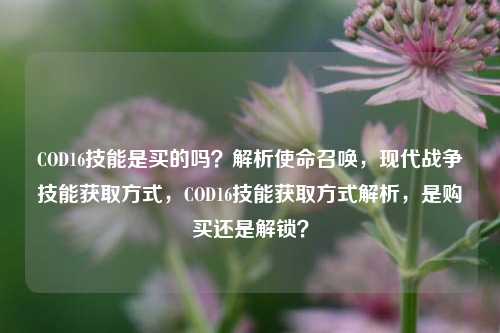 COD16技能是买的吗？解析使命召唤，现代战争技能获取方式，COD16技能获取方式解析，是购买还是解锁？