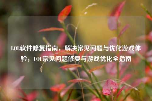 LOL软件修复指南,解决常见问题与优化游戏体验,LOL常见问题修复与游戏优化全指南