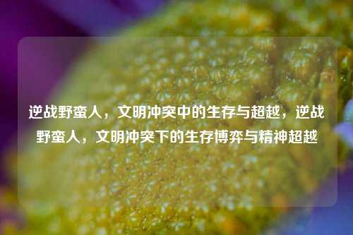逆战野蛮人,文明冲突中的生存与超越,逆战野蛮人,文明冲突下的生存博弈与精神超越