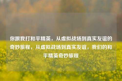 你跟我打和平精英,从虚拟战场到真实友谊的奇妙旅程,从虚拟战场到真实友谊,我们的和平精英奇妙旅程