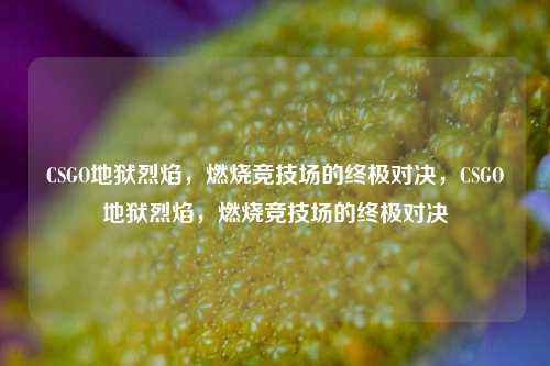 CSGO地狱烈焰,燃烧竞技场的终极对决,CSGO地狱烈焰,燃烧竞技场的终极对决