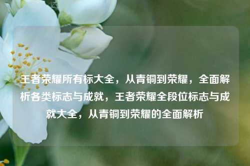 王者荣耀所有标大全，从青铜到荣耀，全面解析各类标志与成就，王者荣耀全段位标志与成就大全，从青铜到荣耀的全面解析