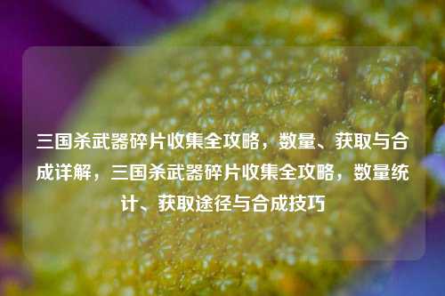 三国杀武器碎片收集全攻略，数量、获取与合成详解，三国杀武器碎片收集全攻略，数量统计、获取途径与合成技巧