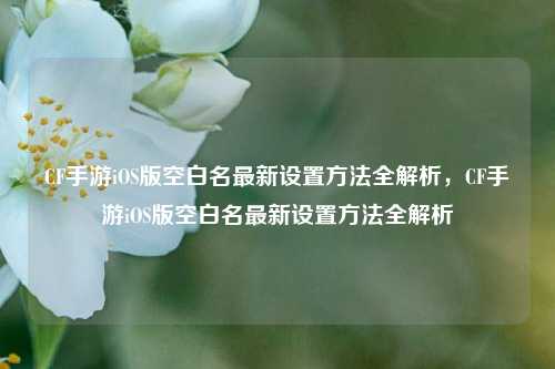 CF手游iOS版空白名最新设置方法全解析,CF手游iOS版空白名最新设置方法全解析