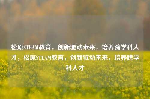 松原STEAM教育,创新驱动未来,培养跨学科人才,松原STEAM教育,创新驱动未来,培养跨学科人才