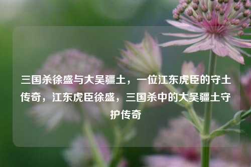 三国杀徐盛与大吴疆土,一位江东虎臣的守土传奇,江东虎臣徐盛,三国杀中的大吴疆土守护传奇
