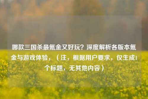 哪款三国杀最氪金又好玩?深度解析各版本氪金与游戏体验,(注,根据用户要求,仅生成1个标题,无其他内容)