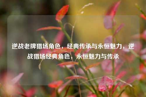 逆战老牌猎场角色,经典传承与永恒魅力,逆战猎场经典角色,永恒魅力与传承