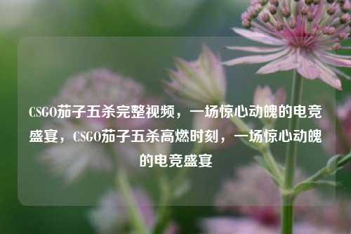 CSGO茄子五杀完整视频,一场惊心动魄的电竞盛宴,CSGO茄子五杀高燃时刻,一场惊心动魄的电竞盛宴