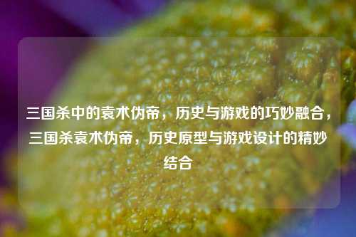 三国杀中的袁术伪帝,历史与游戏的巧妙融合,三国杀袁术伪帝,历史原型与游戏设计的精妙结合