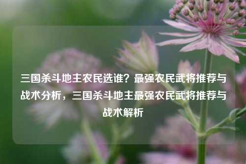 三国杀斗地主农民选谁?最强农民武将推荐与战术分析,三国杀斗地主最强农民武将推荐与战术解析