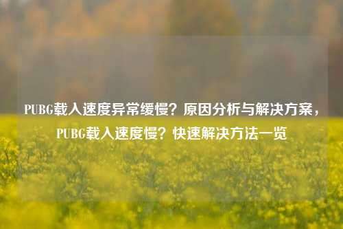 PUBG载入速度异常缓慢?原因分析与解决方案,PUBG载入速度慢?快速解决方法一览