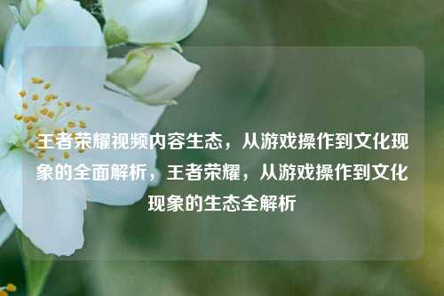王者荣耀视频内容生态,从游戏操作到文化现象的全面解析,王者荣耀,从游戏操作到文化现象的生态全解析