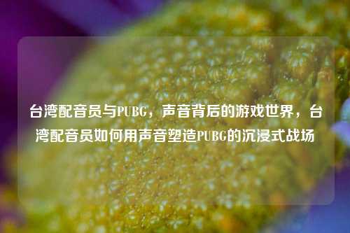 台湾配音员与PUBG,声音背后的游戏世界,台湾配音员如何用声音塑造PUBG的沉浸式战场
