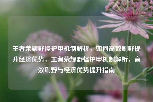 王者荣耀野怪护甲机制解析，如何高效刷野提升经济优势，王者荣耀野怪护甲机制解析，高效刷野与经济优势提升指南