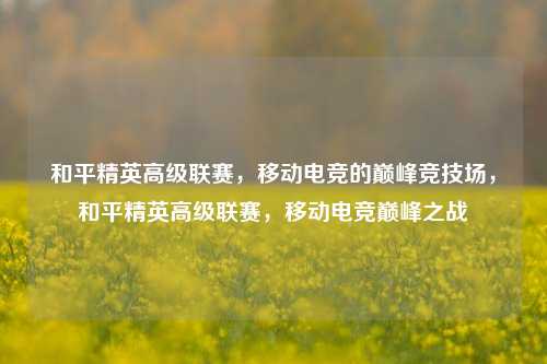 和平精英高级联赛,移动电竞的巅峰竞技场,和平精英高级联赛,移动电竞巅峰之战