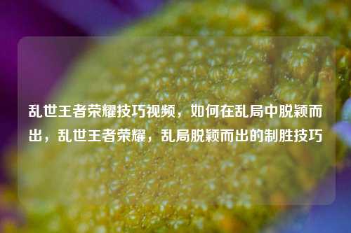 乱世王者荣耀技巧视频,如何在乱局中脱颖而出,乱世王者荣耀,乱局脱颖而出的制胜技巧