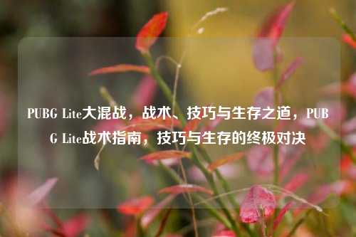 PUBG Lite大混战,战术、技巧与生存之道,PUBG Lite战术指南,技巧与生存的终极对决