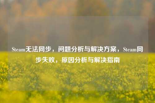 Steam无法同步，问题分析与解决方案，Steam同步失败，原因分析与解决指南