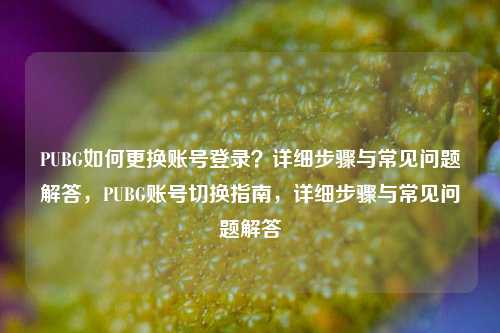 PUBG如何更换账号登录？详细步骤与常见问题解答，PUBG账号切换指南，详细步骤与常见问题解答