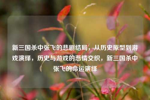 新三国杀中张飞的悲剧结局,从历史原型到游戏演绎,历史与游戏的悲情交织,新三国杀中张飞的命运演绎