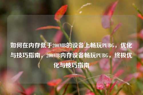 如何在内存低于200MB的设备上畅玩PUBG,优化与技巧指南,200MB内存设备畅玩PUBG,终极优化与技巧指南