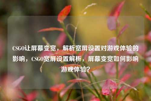 CSGO让屏幕变宽,解析宽屏设置对游戏体验的影响,CSGO宽屏设置解析,屏幕变宽如何影响游戏体验?