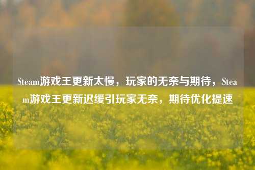 Steam游戏王更新太慢,玩家的无奈与期待,Steam游戏王更新迟缓引玩家无奈,期待优化提速