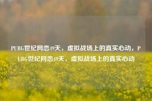 PUBG世纪网恋49天,虚拟战场上的真实心动,PUBG世纪网恋49天,虚拟战场上的真实心动