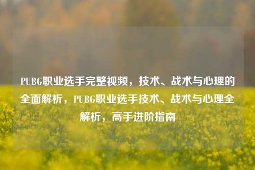 PUBG职业选手完整视频,技术、战术与心理的全面解析,PUBG职业选手技术、战术与心理全解析,高手进阶指南