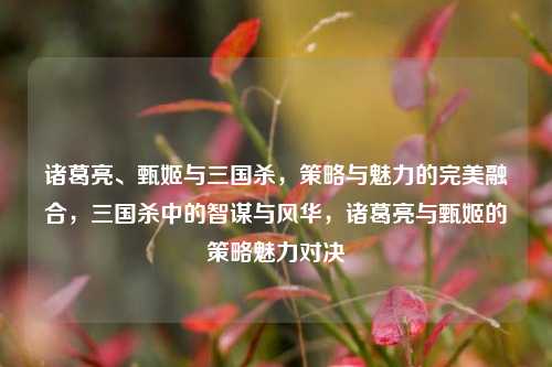 诸葛亮、甄姬与三国杀，策略与魅力的完美融合，三国杀中的智谋与风华，诸葛亮与甄姬的策略魅力对决