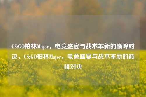 CS:GO柏林Major,电竞盛宴与战术革新的巅峰对决,CS:GO柏林Major,电竞盛宴与战术革新的巅峰对决