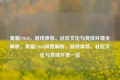 美服CSGO,游戏体验、社区文化与竞技环境全解析,美服CSGO深度解析,游戏体验、社区文化与竞技环境一览