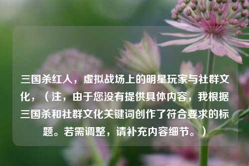 三国杀红人，虚拟战场上的明星玩家与社群文化，（注，由于您没有提供具体内容，我根据三国杀和社群文化关键词创作了符合要求的标题。若需调整，请补充内容细节。）