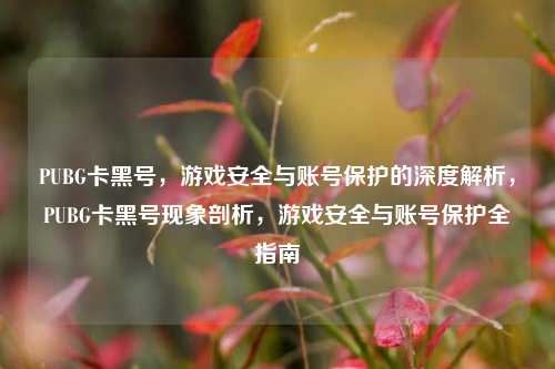 PUBG卡黑号,游戏安全与账号保护的深度解析,PUBG卡黑号现象剖析,游戏安全与账号保护全指南
