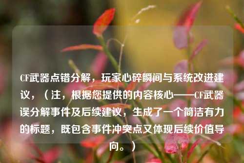 CF武器点错分解,玩家心碎瞬间与系统改进建议,(注,根据您提供的内容核心——CF武器误分解事件及后续建议,生成了一个简洁有力的标题,既包含事件冲突点又体现后续价值导向。)