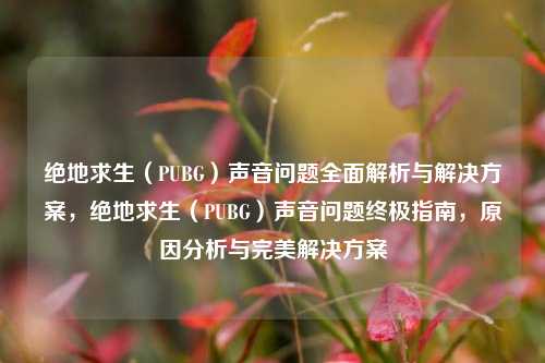 绝地求生(PUBG)声音问题全面解析与解决方案,绝地求生(PUBG)声音问题终极指南,原因分析与完美解决方案
