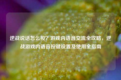 逆战说话怎么按?游戏内语音交流全攻略,逆战游戏内语音按键设置及使用全指南
