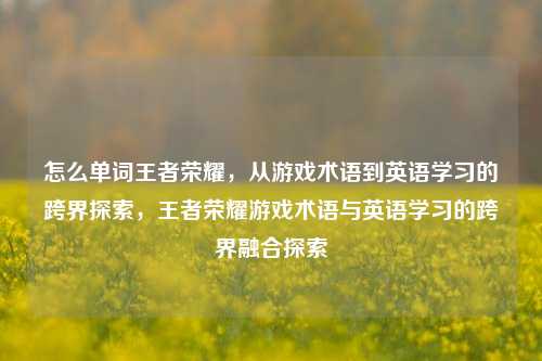 怎么单词王者荣耀,从游戏术语到英语学习的跨界探索,王者荣耀游戏术语与英语学习的跨界融合探索