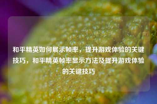 和平精英如何展示帧率，提升游戏体验的关键技巧，和平精英帧率显示方法及提升游戏体验的关键技巧